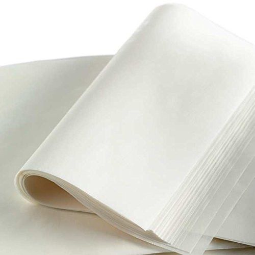 450X750 Silicon Paper